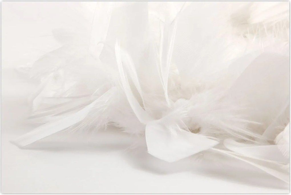 Tablou - Pană (90x60 cm)