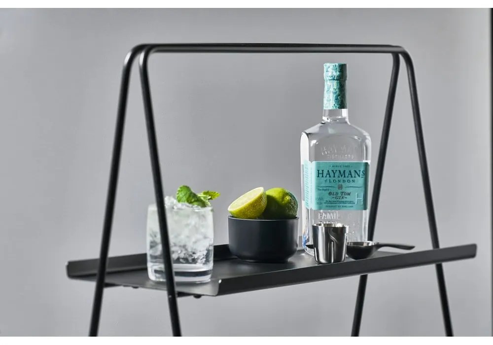 Etajeră cu structură din inox Zone A-Table, negru