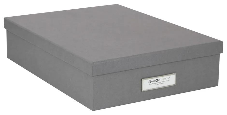 Cutie de depozitare cu etichetă pentru documente Bigso Box of Sweden Oskar, format A4, gri