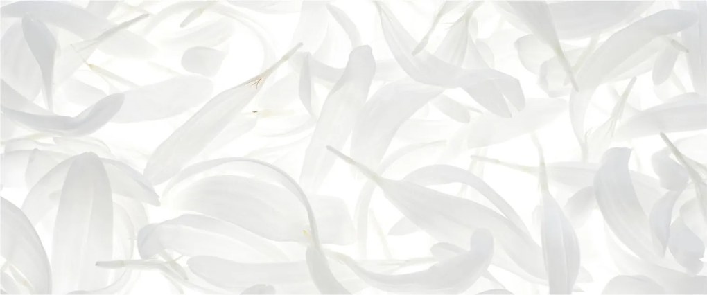 Tablou - Petale de frunze (120x50 cm)