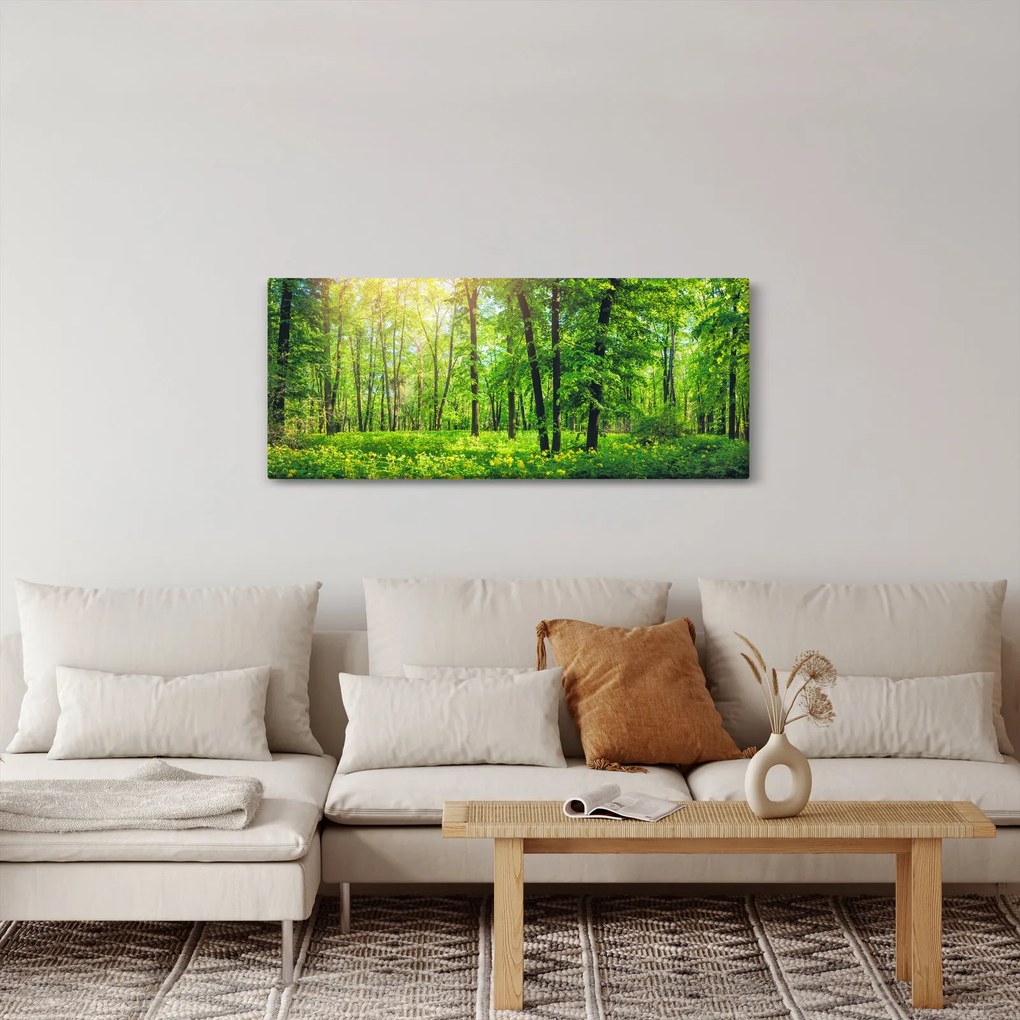 Tablou - Pădurea cu frunze de primăvară (120x50 cm)
