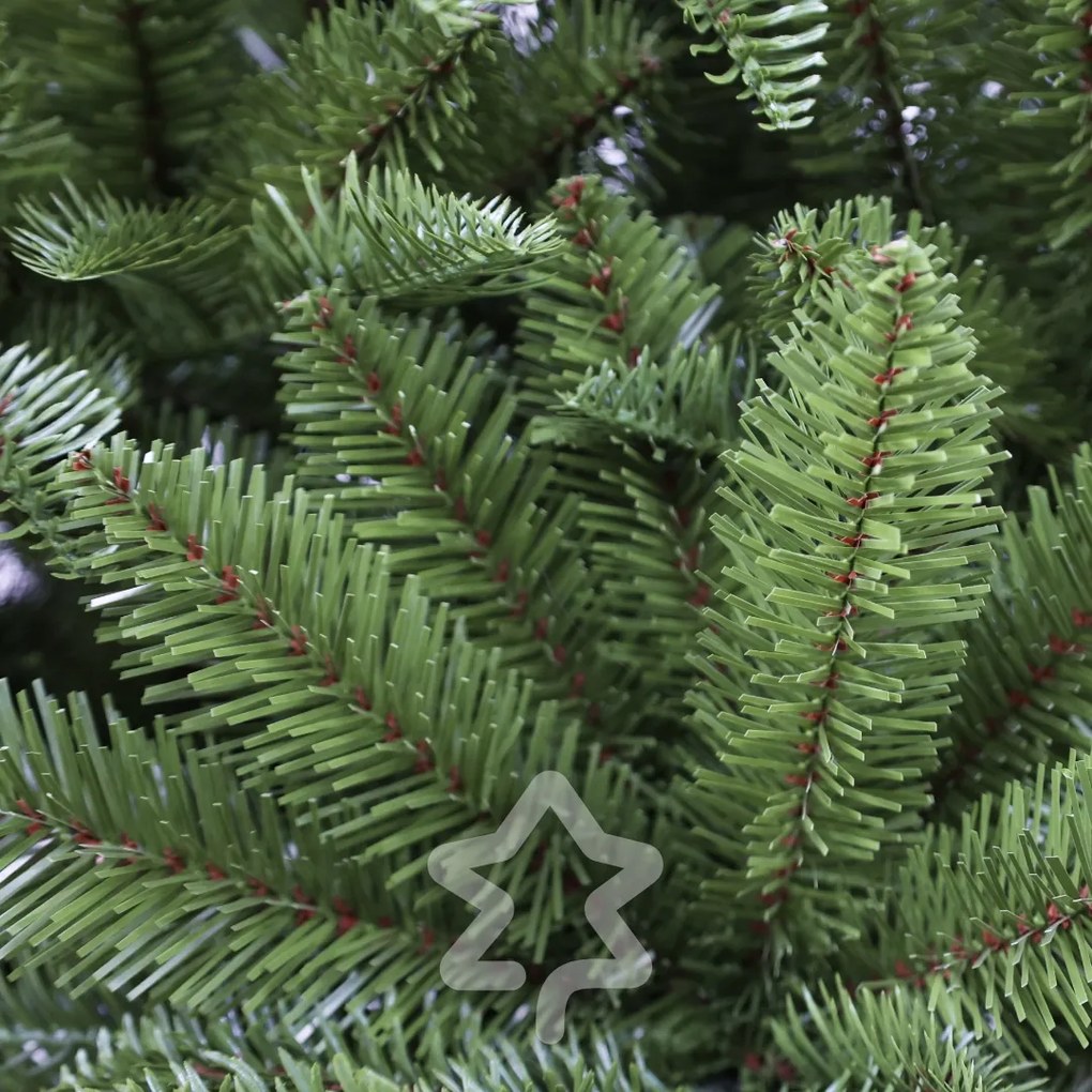 Brad Nordmann 240 cm