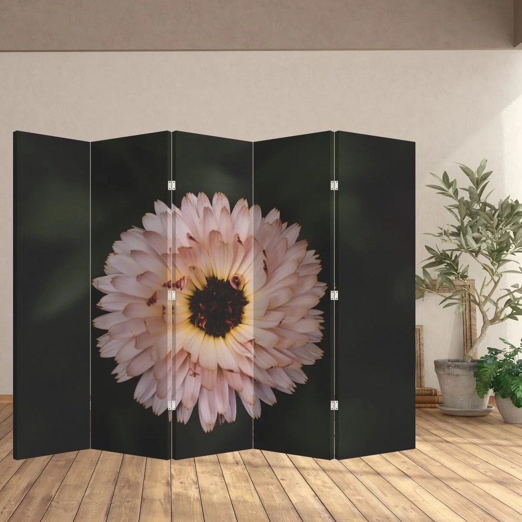 Paravan - Floare portocalie (210x170 cm)