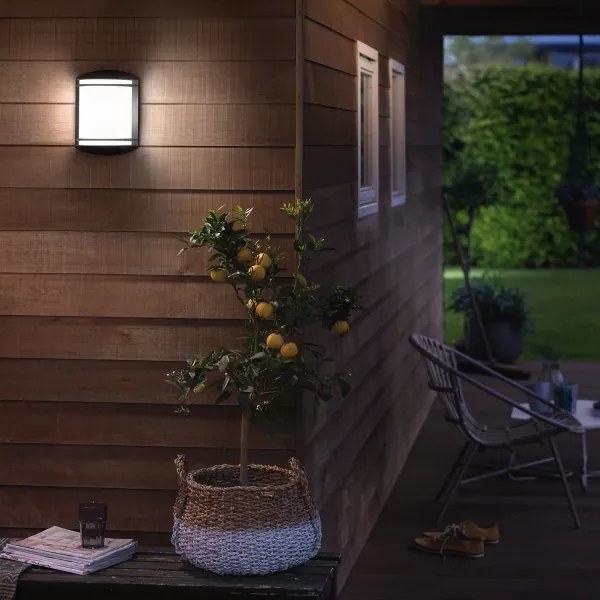 Philips 17320/30/P3 - Aplică de perete pentru exterior ANTELOPE LED/6W/230V IP44