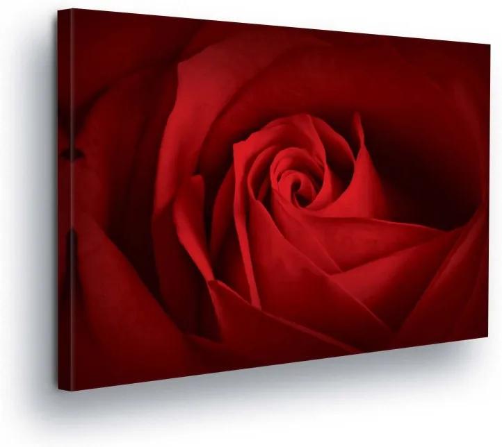 GLIX Tablou - Flower of the Red Rose 50x70 cm