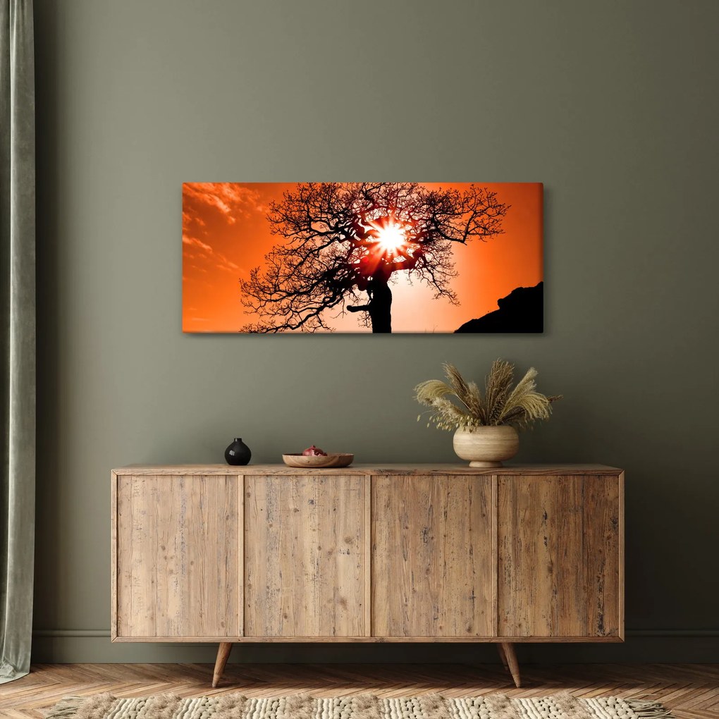 Tablou - Fag la apus de soare (120x50 cm)
