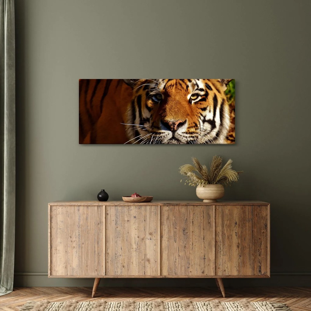 Tablou cu tigrul (120x50 cm)