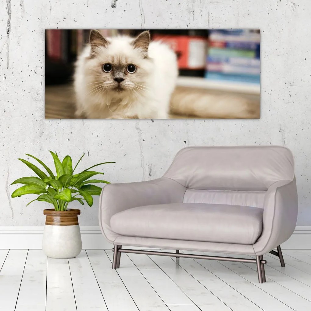 Tablou cu pisica albăr (120x50 cm)
