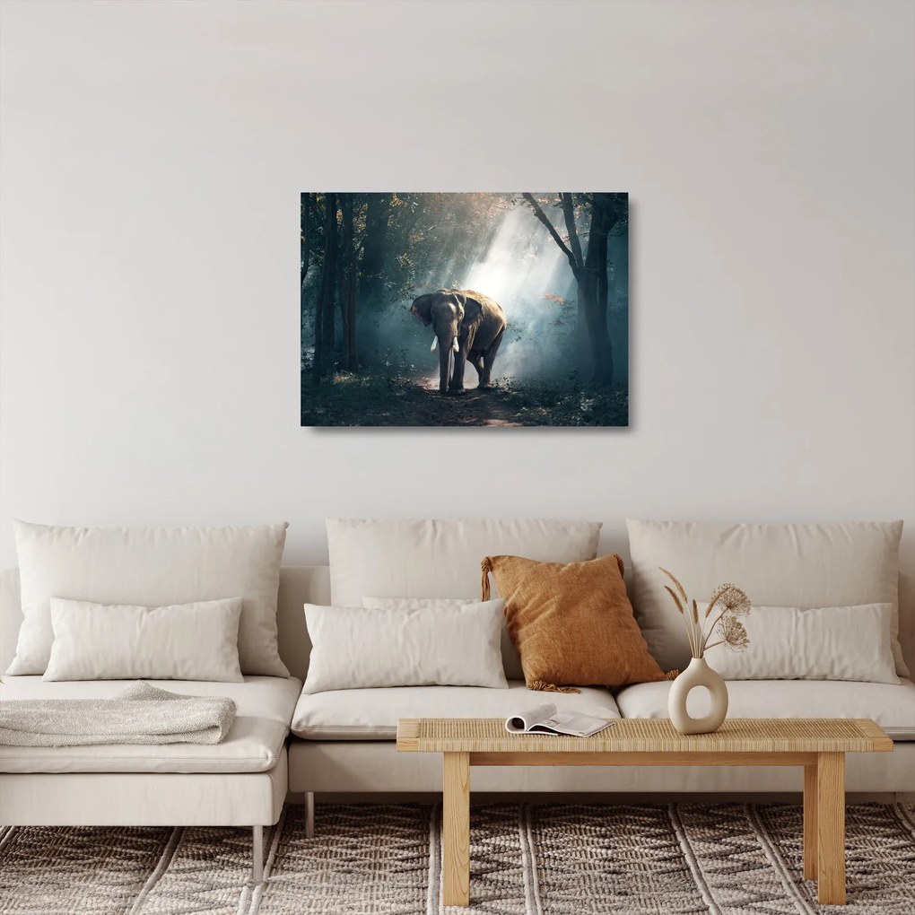 Tablou pe sticlă cu elefant în djunglă (70x50 cm)