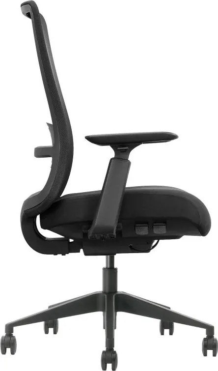 Scaun ergonomic, suport lombar integrat, brațe reglabile, tetieră opțională - Fără tetieră - Gri