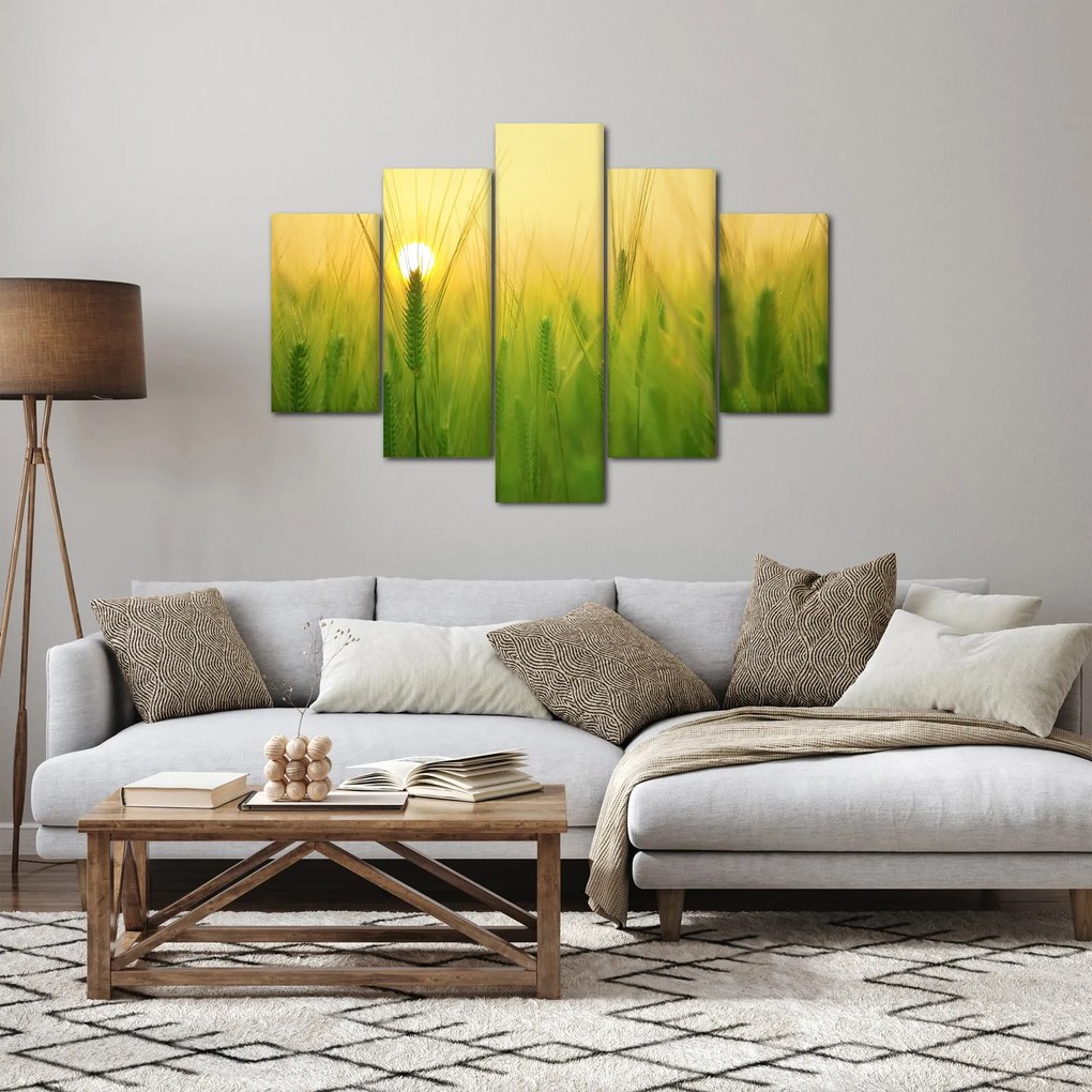 Tablou - Câmp cu cereale (150x105 cm)