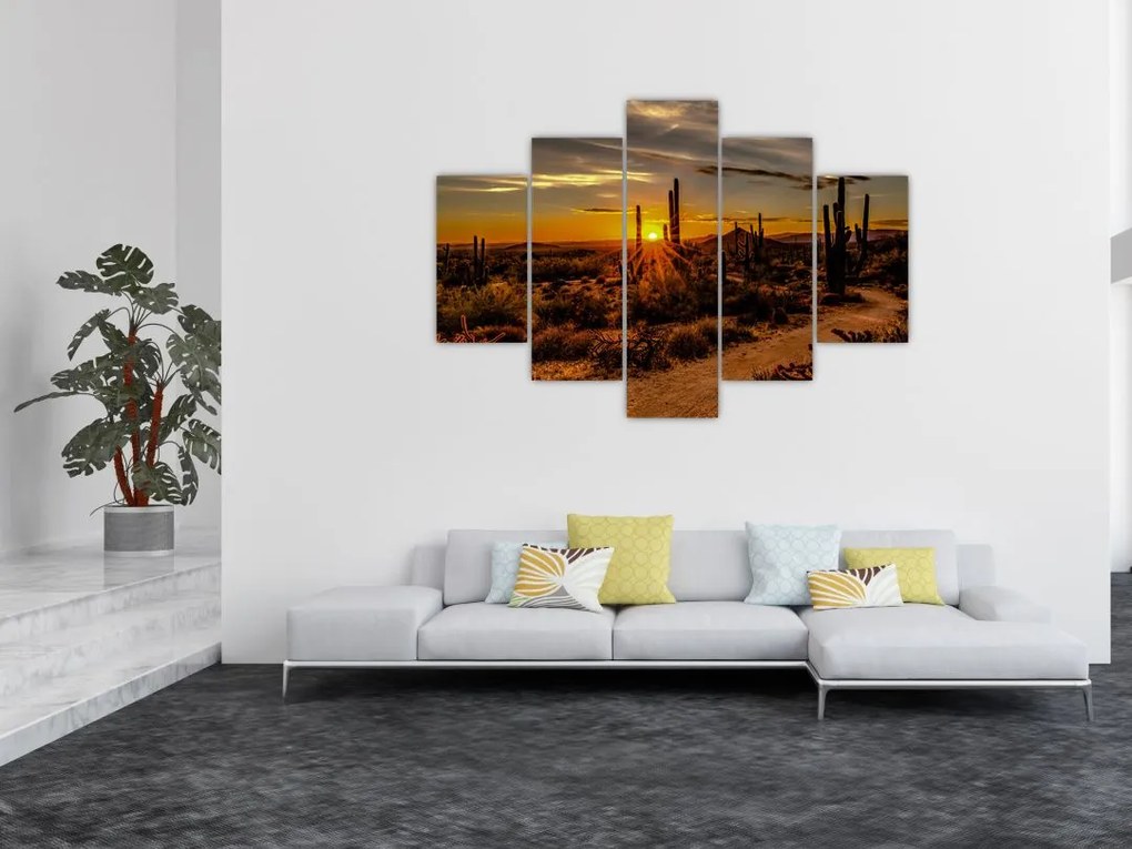 Tablou - Sfărșit de zi în deșertul Arizona (150x105 cm)