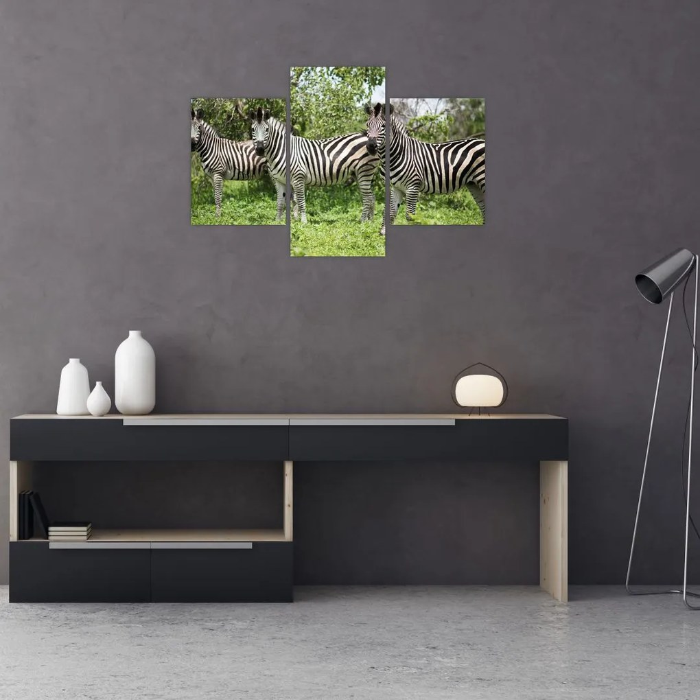 Tablou cu zebre (90x60 cm)
