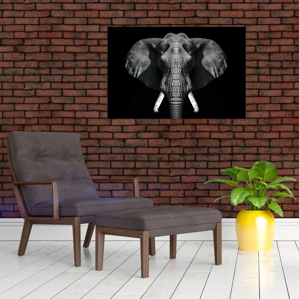 Tablou - Elefant pe fundal negru (90x60 cm)