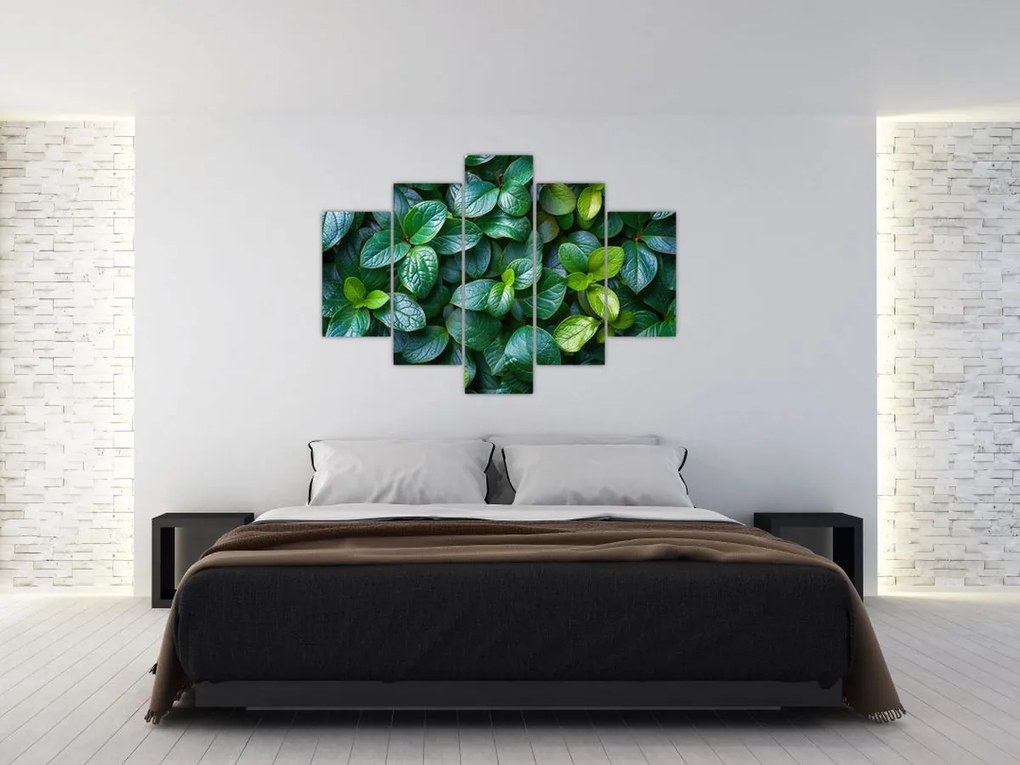 Tablou - Plante verzi (150x105 cm)