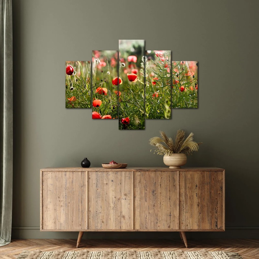 Tablou cu maci (150x105 cm)