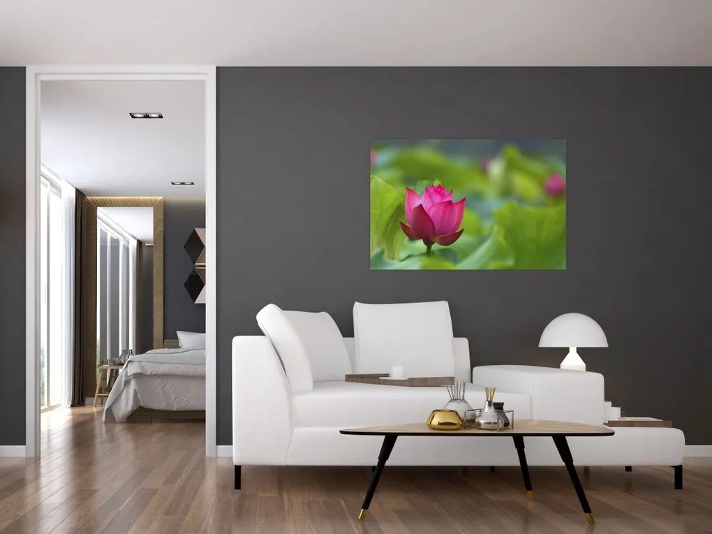 Tablou - floare de apă (90x60 cm)