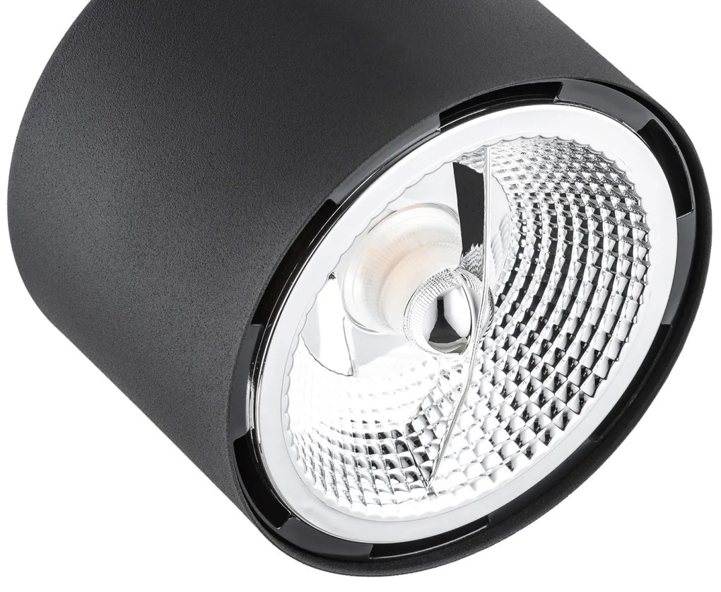 Aplica de perete/tavan cu spot ajustabil CLEAVLAND neagra
