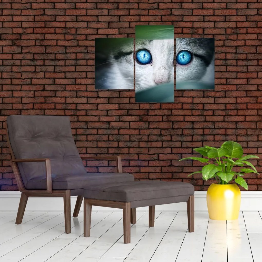 Tablou cu pisica (90x60 cm)