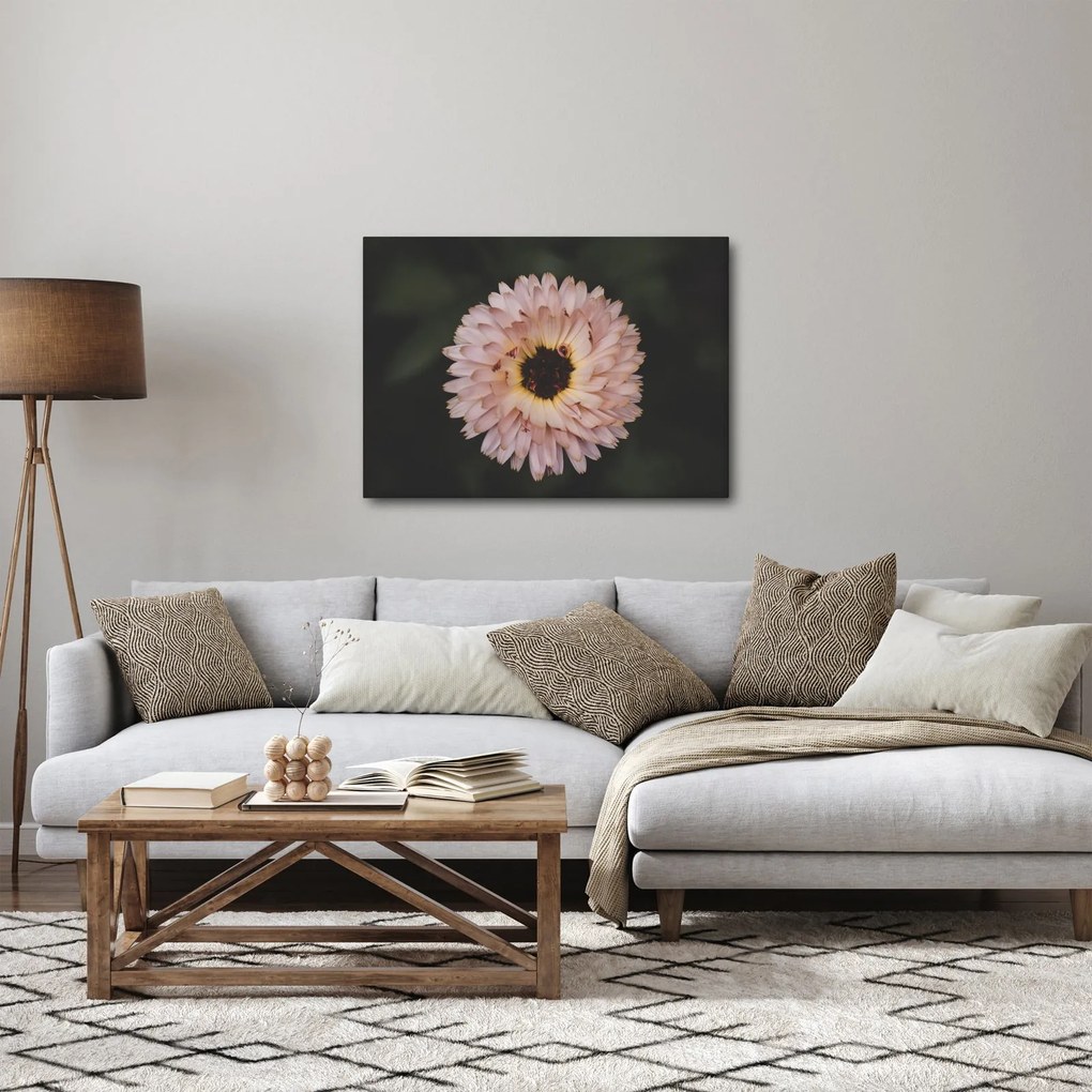 Tablou cu floare portocalie (70x50 cm)