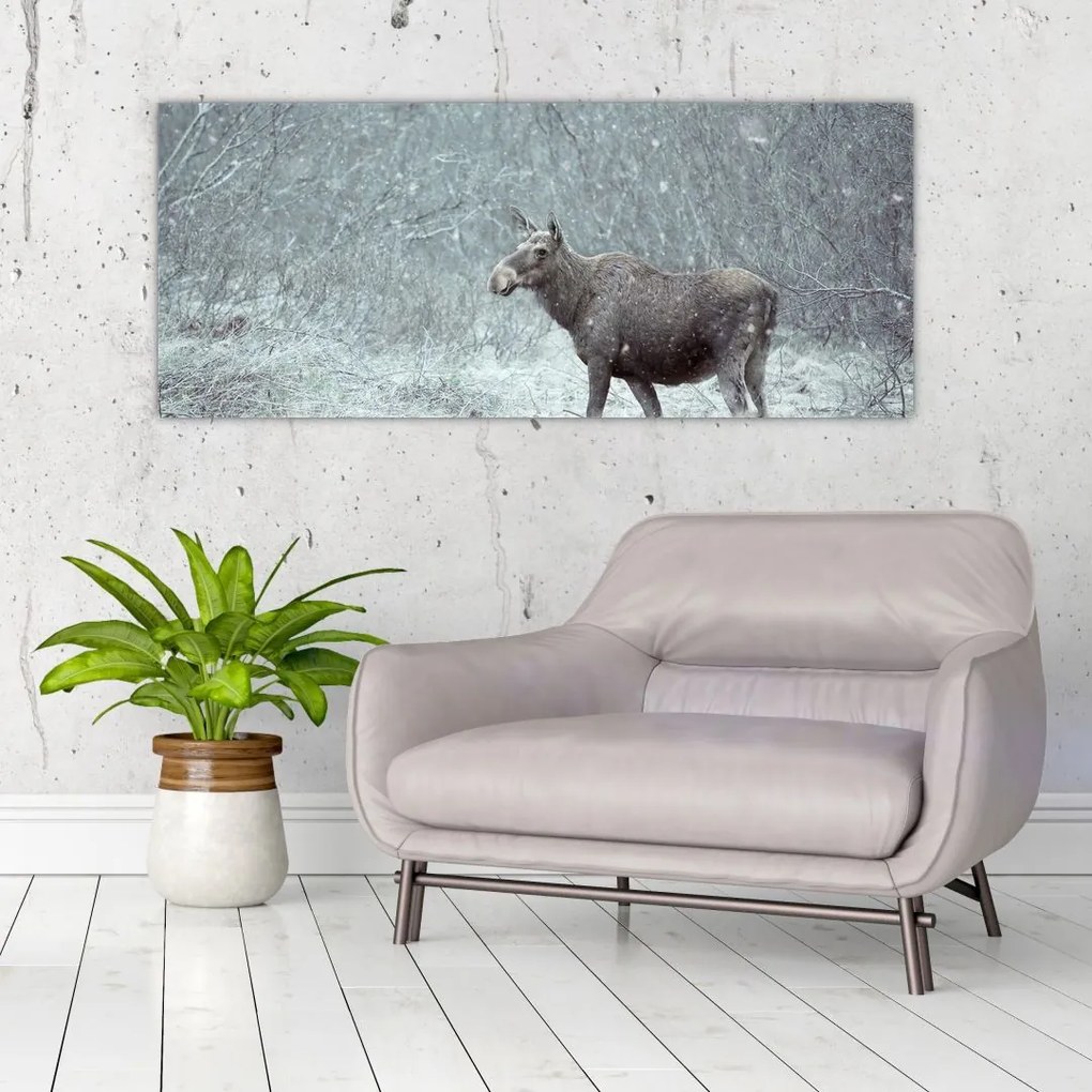 Tablou - Elan într-o pădure înzăpezită (120x50 cm)