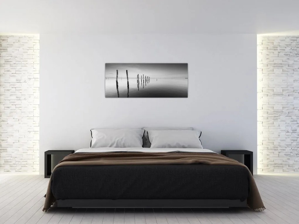 Tablou cu nivelul de lac alb negru (120x50 cm)