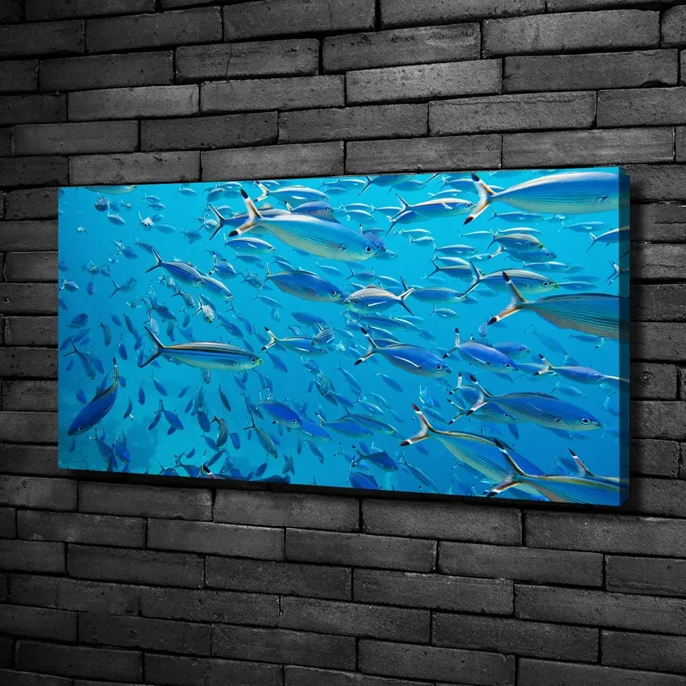 Print pe canvas Pește coral
