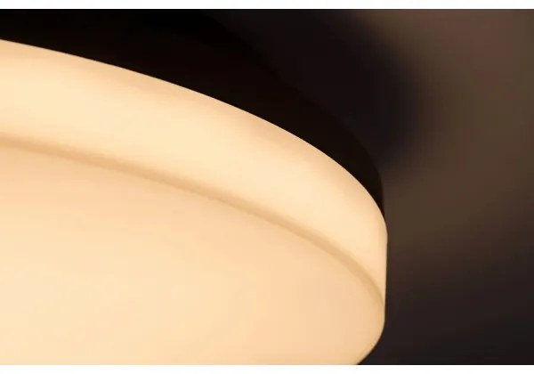Rabalux 7265 - Plafonieră LED pentru baie PERNIK LED/24W/230V IP54