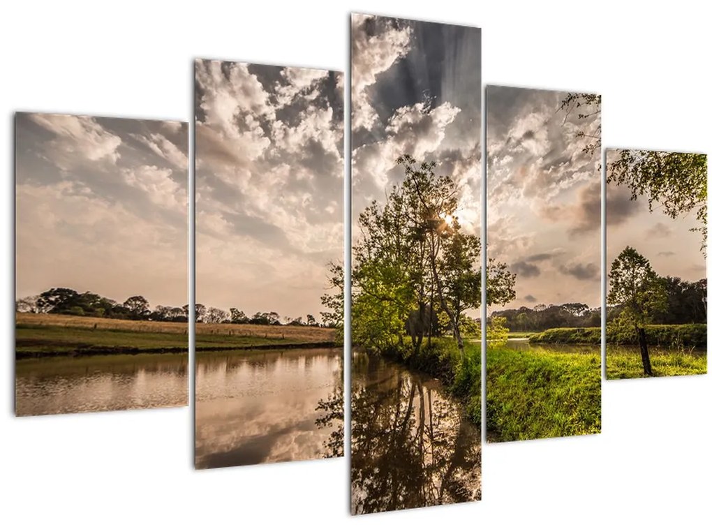 Tablou naturii cu raze de soae (150x105 cm)