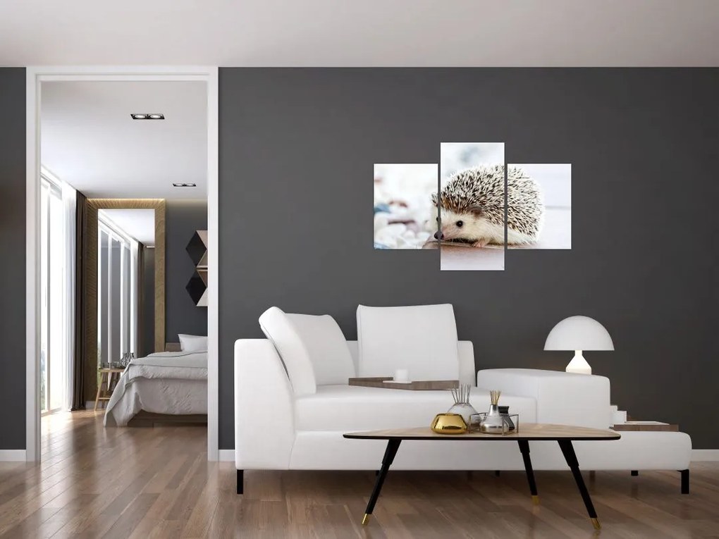 Tablou cu arici (90x60 cm)