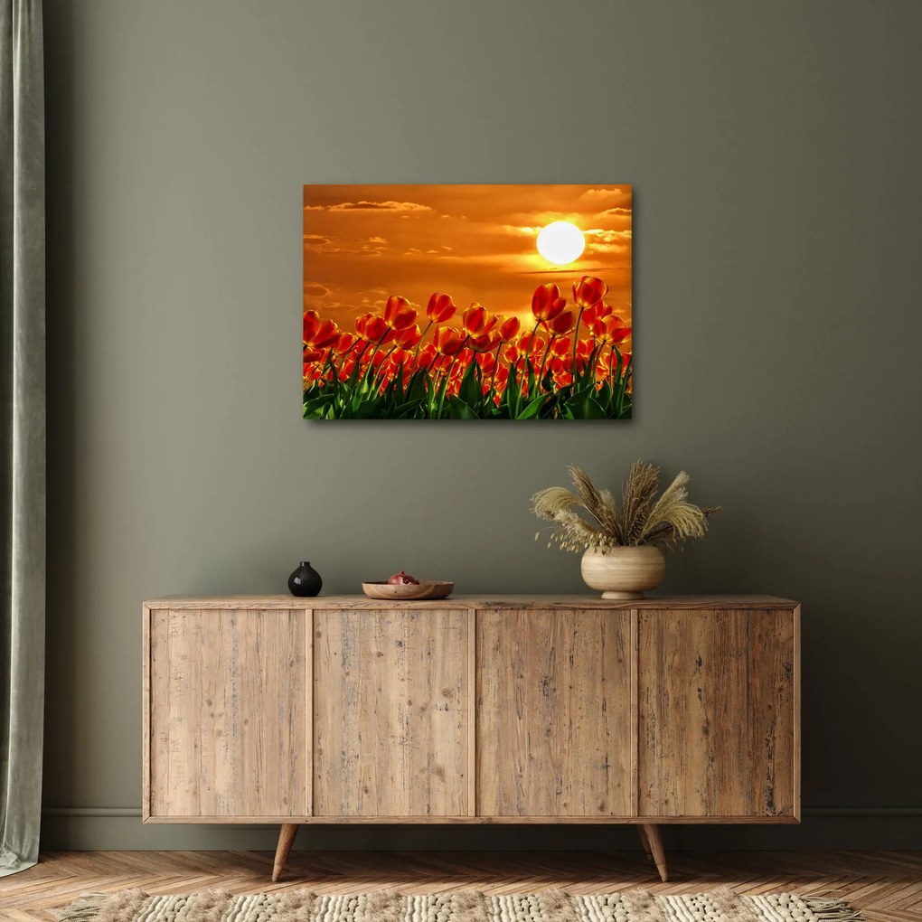 Tablou - lan înflorit de lalele (70x50 cm)