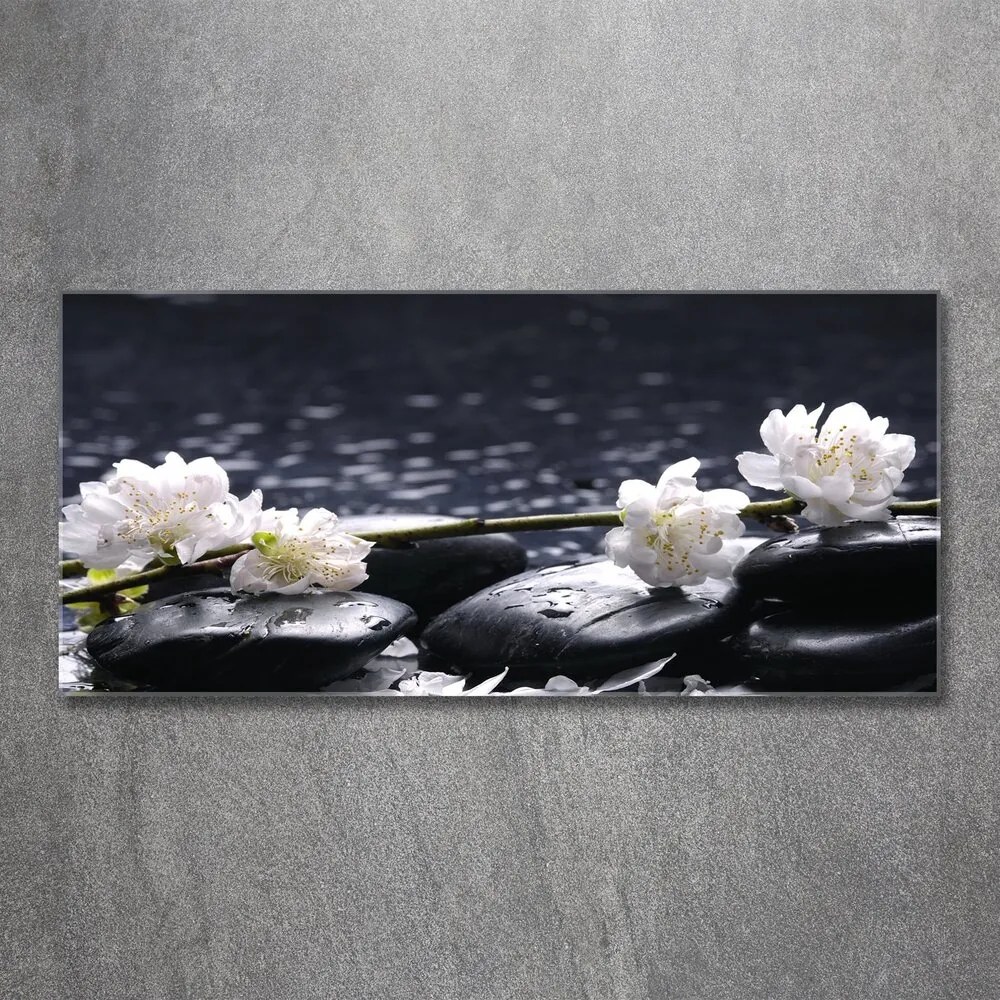 Pictura pe sticlă acrilică Floare de cires