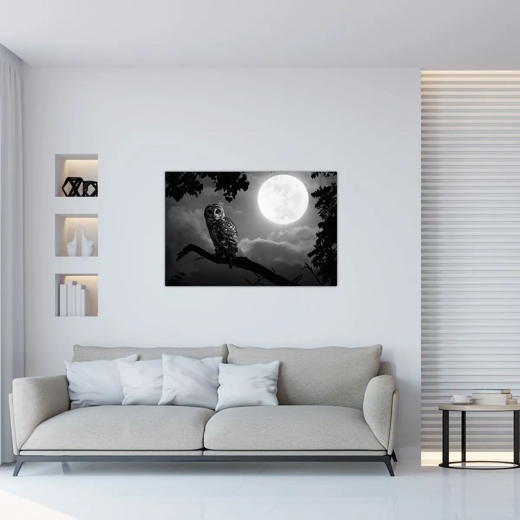 Tablou - Bufniță de noapte, alb și negru (90x60 cm)
