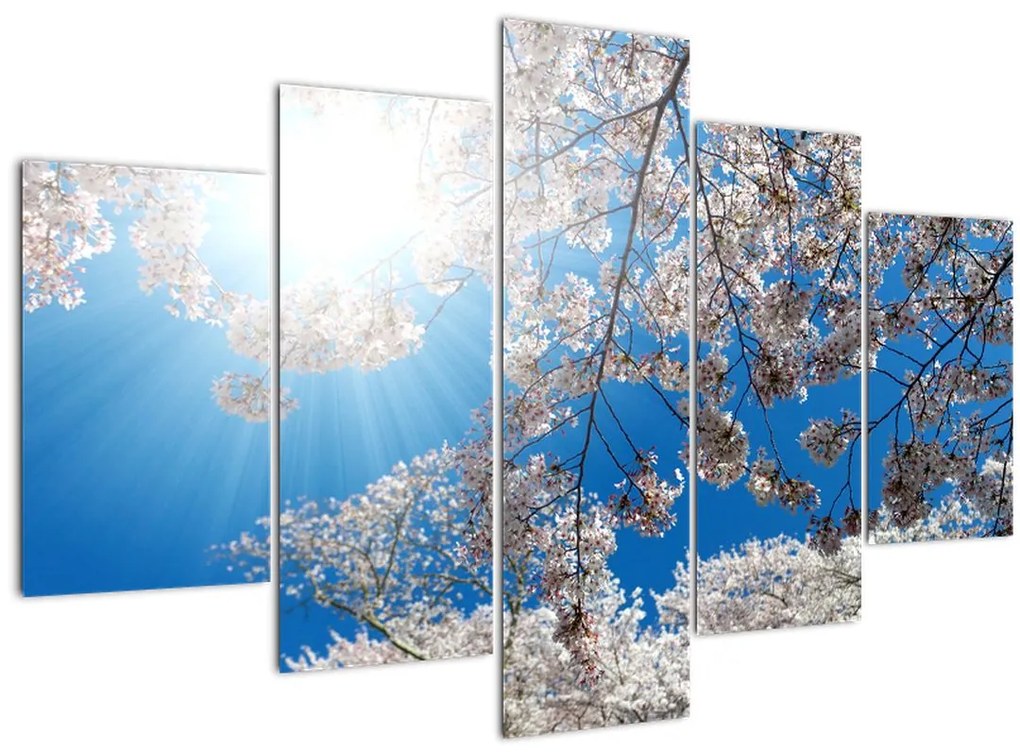 Tablou - Flori de cireș (150x105 cm)