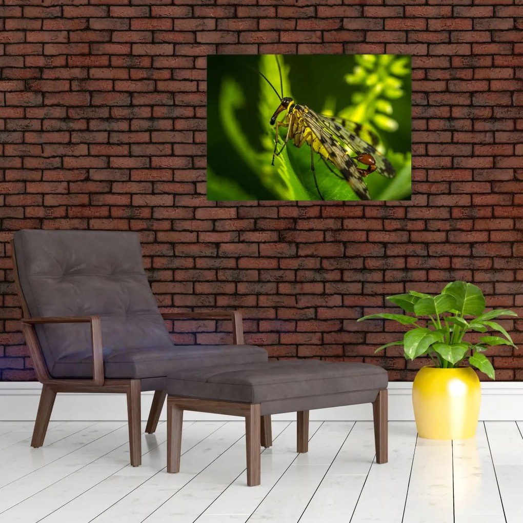 Tablou pe sticlă cu omide (70x50 cm)