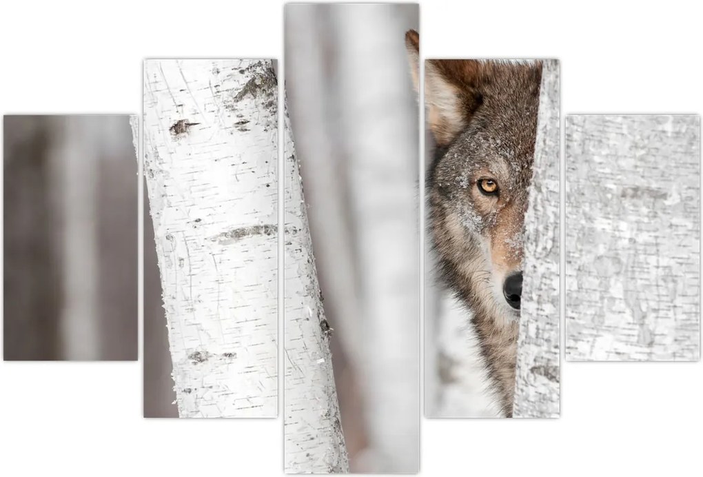 Tablou - Lup (150x105 cm)
