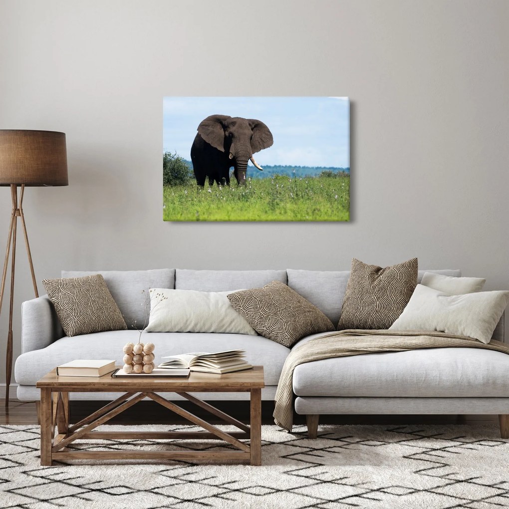 Tablou cu elefant (90x60 cm)