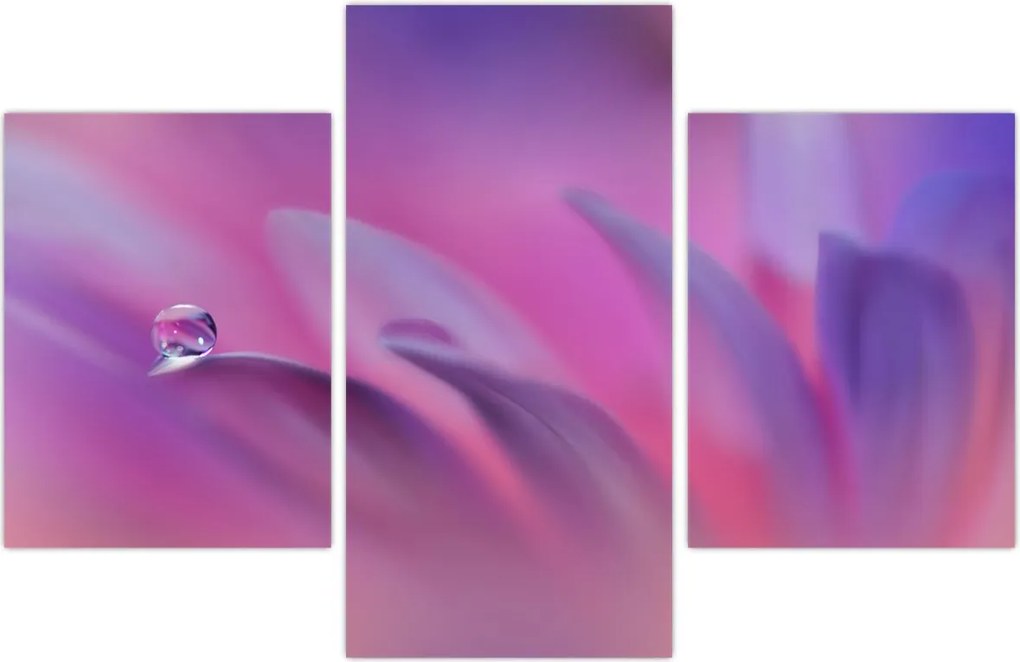 Tablou - Picătură pe floare (90x60 cm)