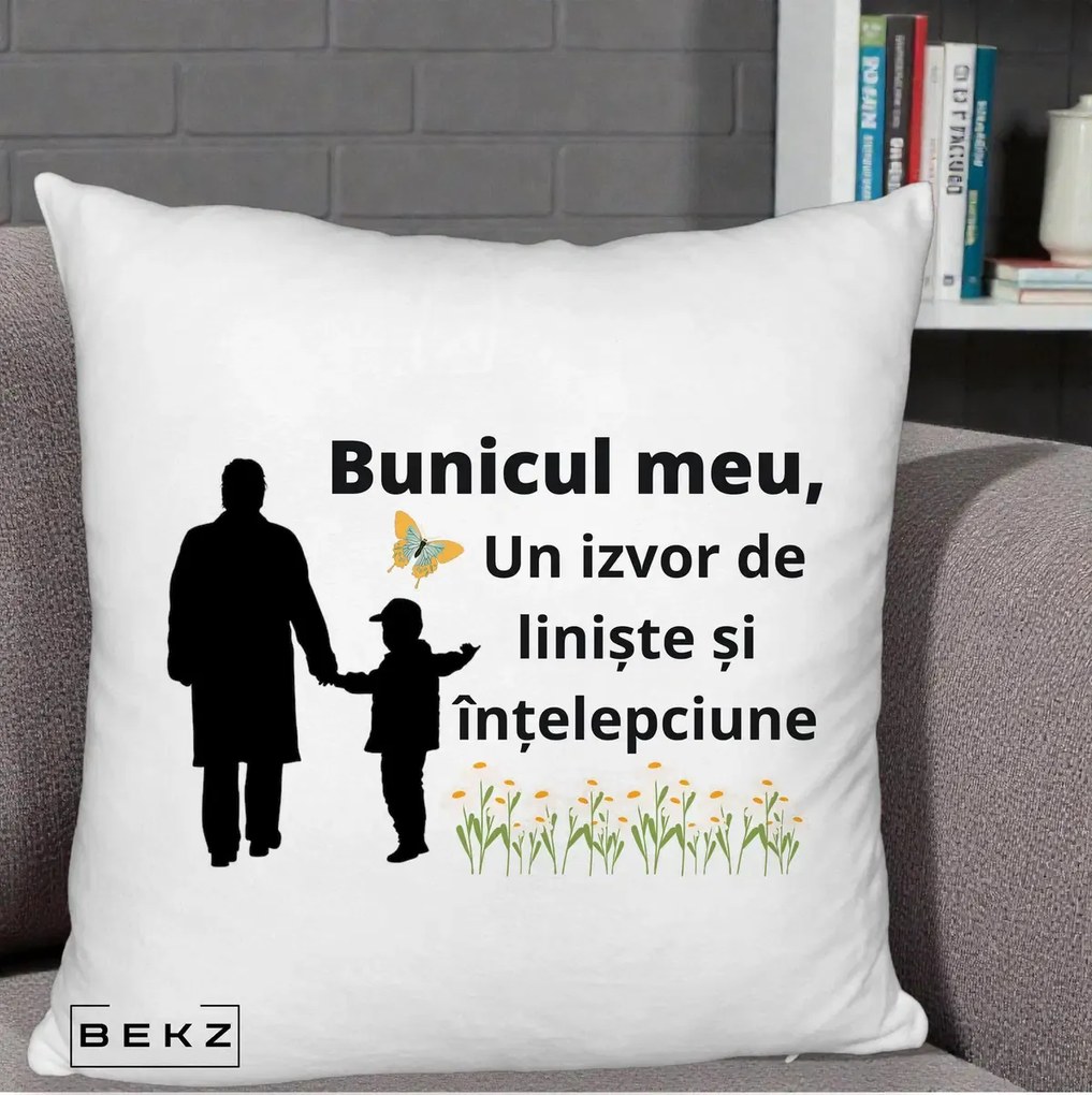 Cadou pentru Bunic - Perna Personalizata Bunicul Meu Izvor de Liniste cu Fluture si Baietel, 40x40 cm, Alb Pufos, Husa Detasabila, Perna Inclusa, BEKZ®
