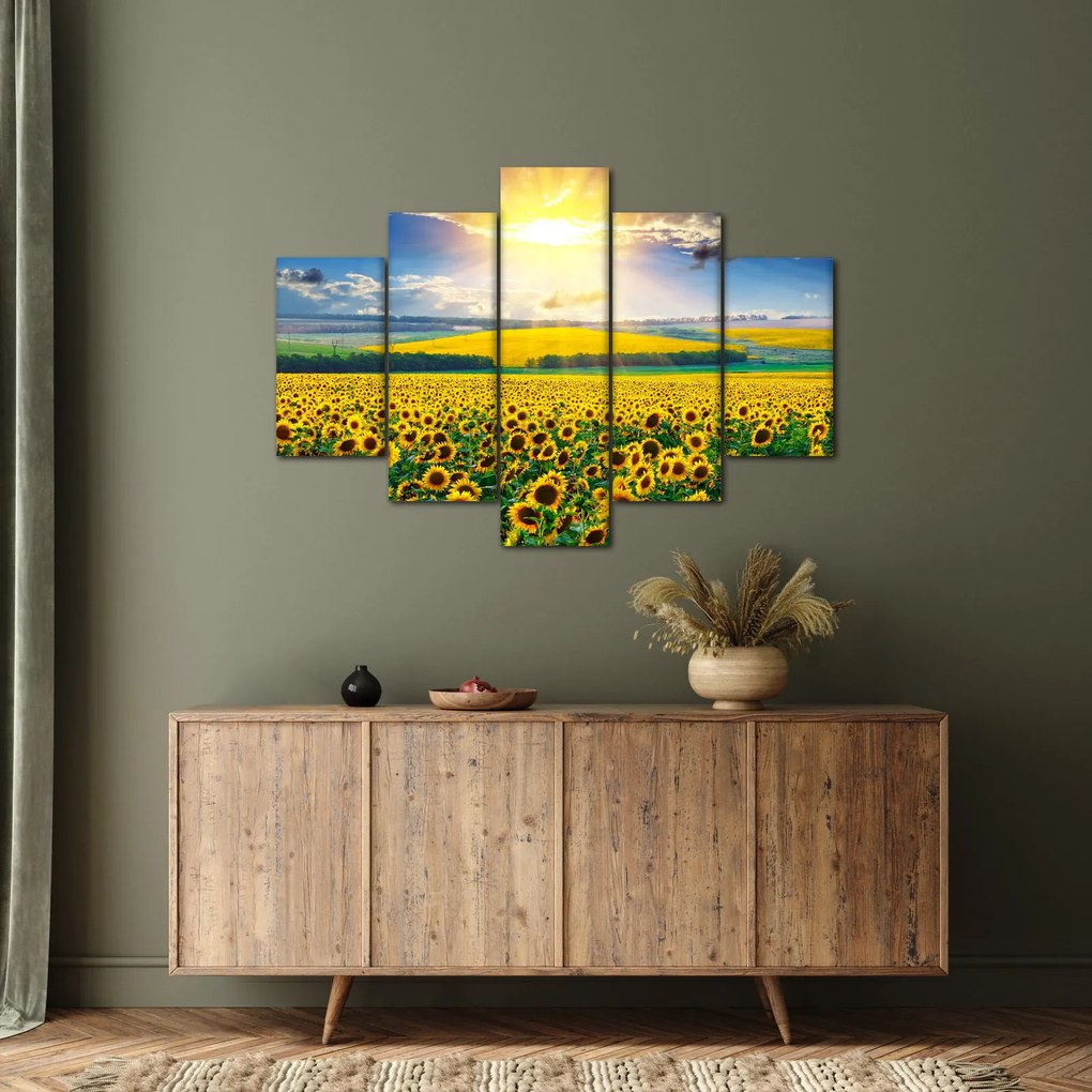 Tablou - Câmp cu floarea soarelui (150x105 cm)