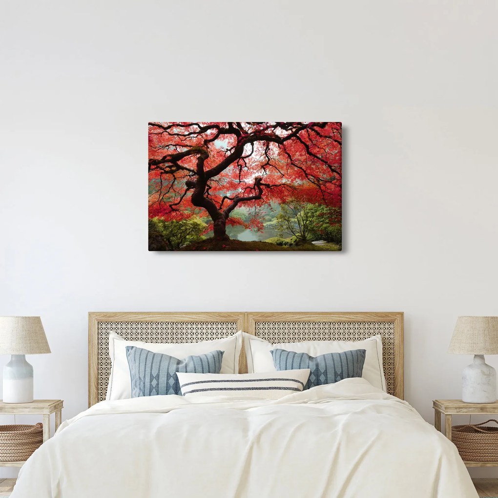 Tablou - Arțarul japonez roșu, Portland, Oregon (90x60 cm)