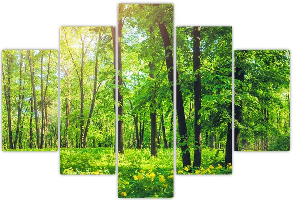 Tablou - Pădurea cu frunze de primăvară (150x105 cm)