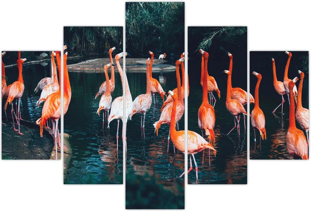 Tablou - turmă de flamingo (150x105 cm)