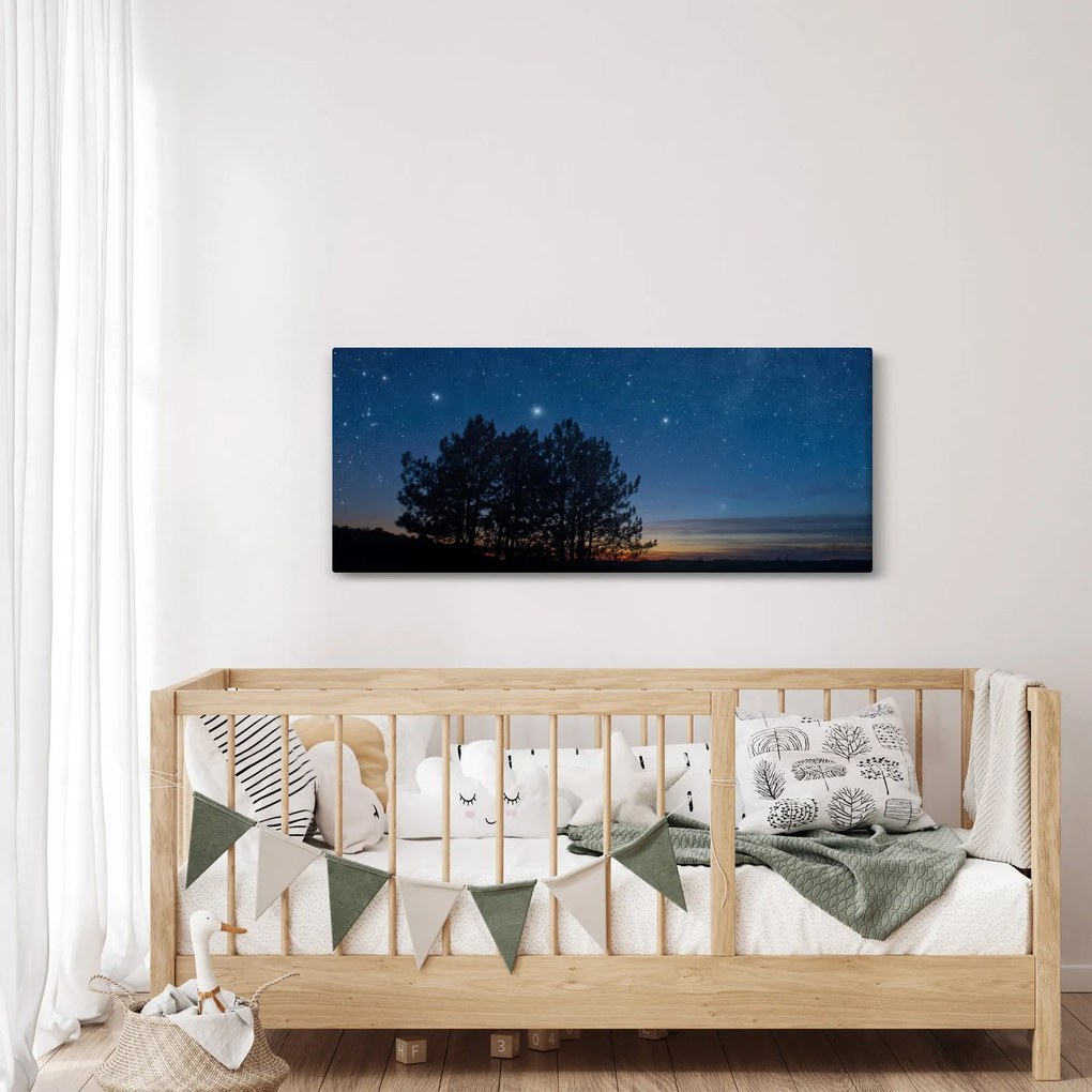 Tablou cu copaci noapte (120x50 cm)