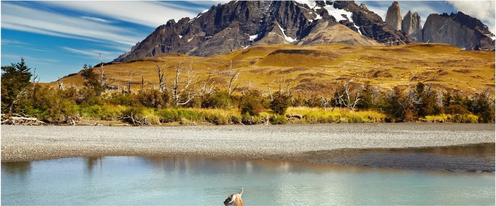 Tablou - Parcul Național Torres del Paine (120x50 cm)