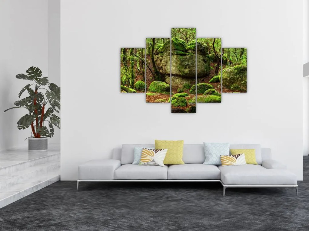 Tablou cu pădurea fermecată (150x105 cm)