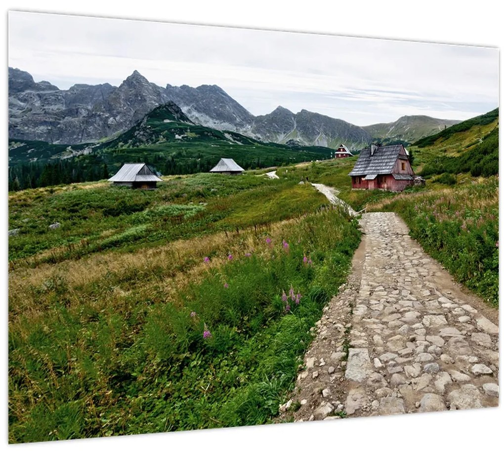 Tablou - Peisaj montan cu case (70x50 cm)