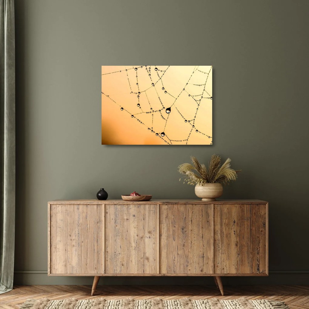 Tablou pe sticlă cu pânză de pâianjen cu rouă (70x50 cm)