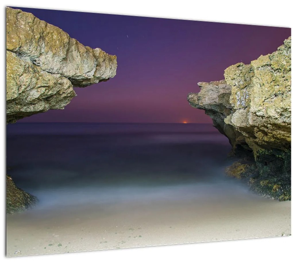 Tablou - recif de mare (70x50 cm)