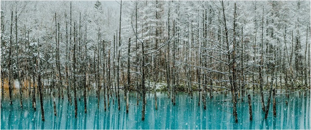 Tablou - Pescărie turcoaz, Biei, Japonia (120x50 cm)